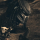 Illustration for article titled Rebellion Confirms Aliens vs. Predator Demo